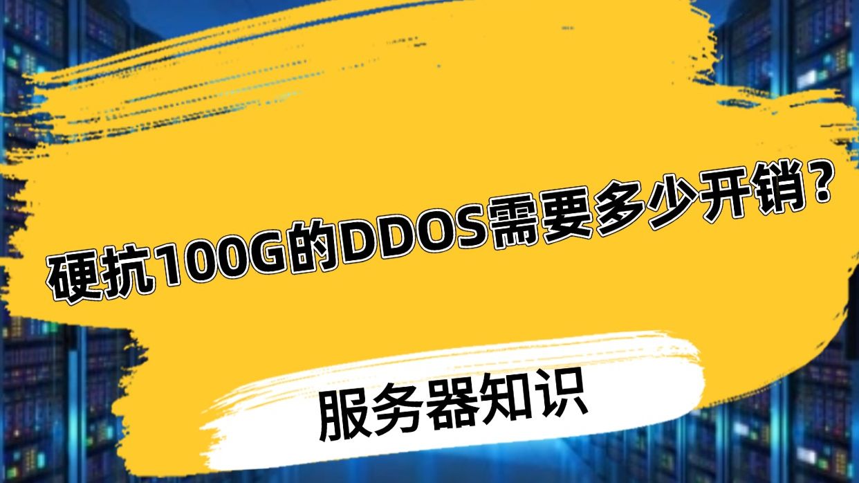 硬抗100G的DDOS需要多少开销?