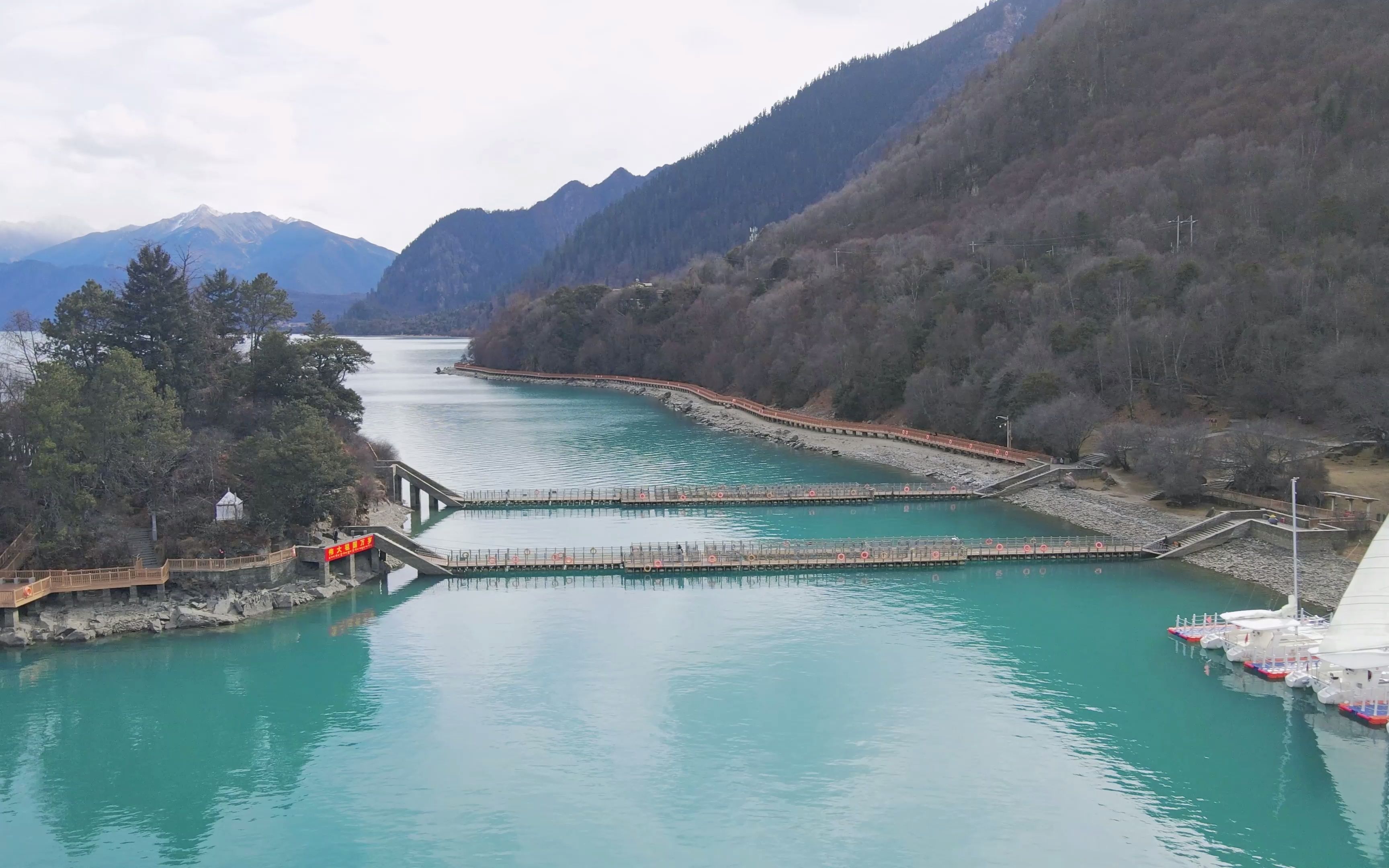看看这景色,西藏林芝湖心岛