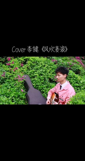 金色麦浪孙俪李健歌曲图片