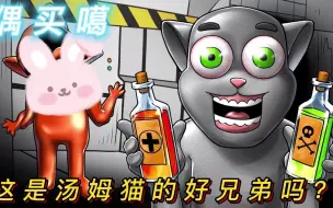 Descargar video: 会说话的胡安：偶买噶，这是汤姆猫的好兄弟吗？