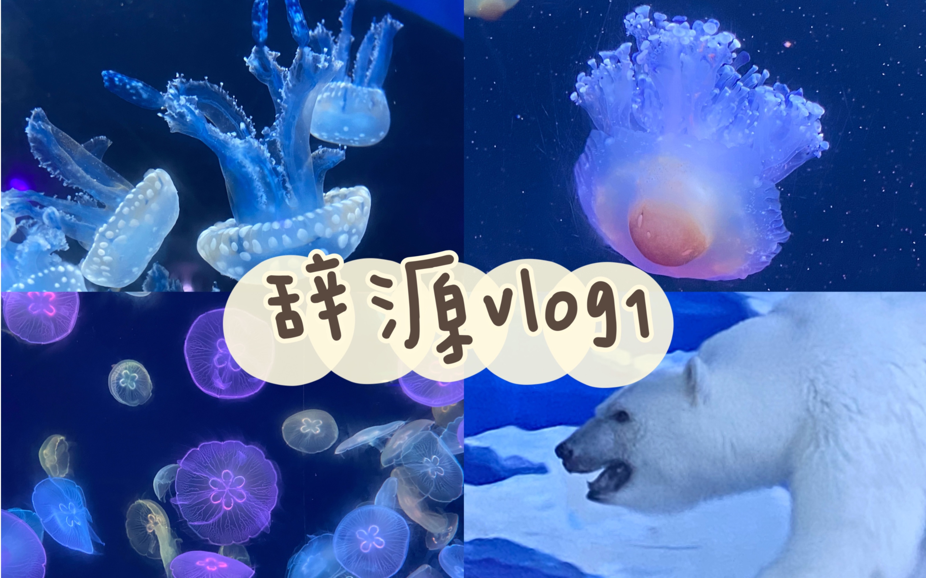 [图]辞源VLOG1｜和我一起去看看水族馆吧/2022春夏照片记录