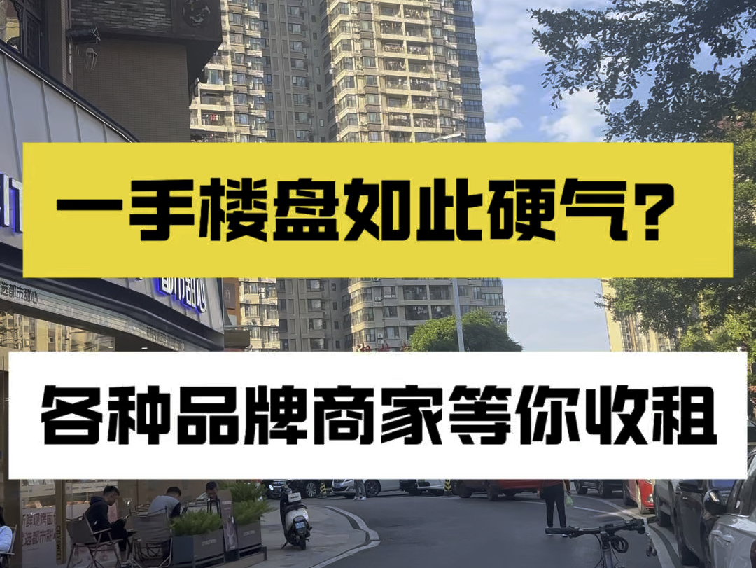 南宁商铺:年底后劲十足的一手商铺!13000户的大社区核心位置商铺,一手商铺下半年谁与争峰哔哩哔哩bilibili