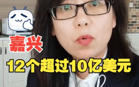 嘉兴,住着12个身价超过10亿美金的企业家哔哩哔哩bilibili