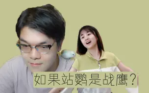 Download Video: 柯洁妈妈跟会说话的“站鹦”