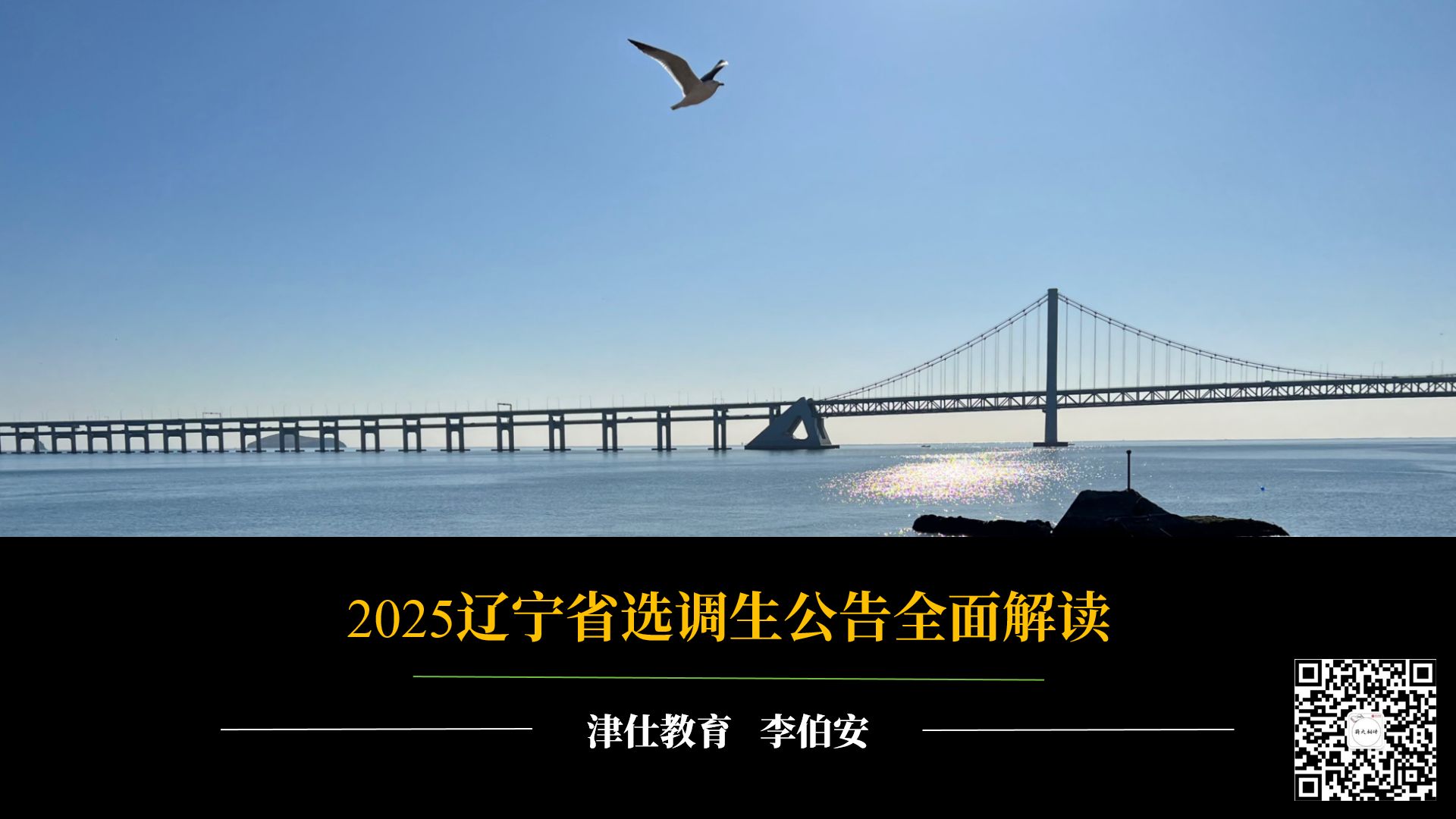 回辽必看!2025辽宁省选调生公告全面解读(第二批次)哔哩哔哩bilibili