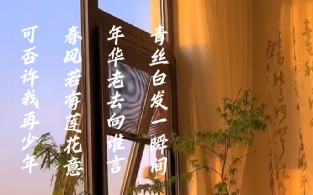 青丝白发一瞬间,年华老去向谁言.春风若有莲花意,可否许我再少年.