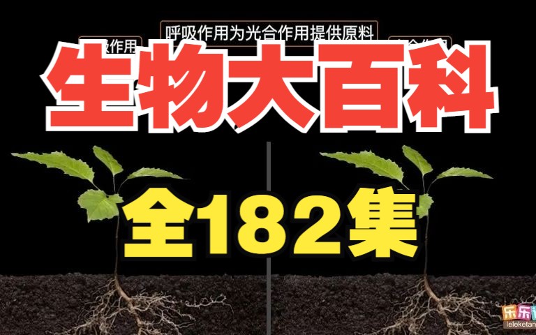 【全182集】中小学生物大百科 适合612岁孩子 生物启蒙 搭建一个神奇的生物世界哔哩哔哩bilibili