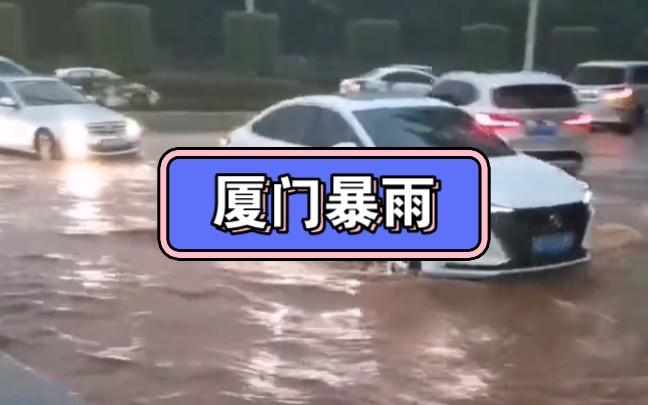 你哪里今天下雨了吗?.我这都被淹了……极端天气暴雨 来袭,厦门暴雨,厦门早上8点,特大暴雨,车在水中游,瓢泼大雨 , 狂风暴雨电闪雷鸣哔哩哔哩...