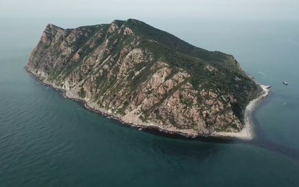 渤海这座毒蛇岛,盘踞2万条毒蛇,树上地上全是蛇,至今没有游客敢上岛