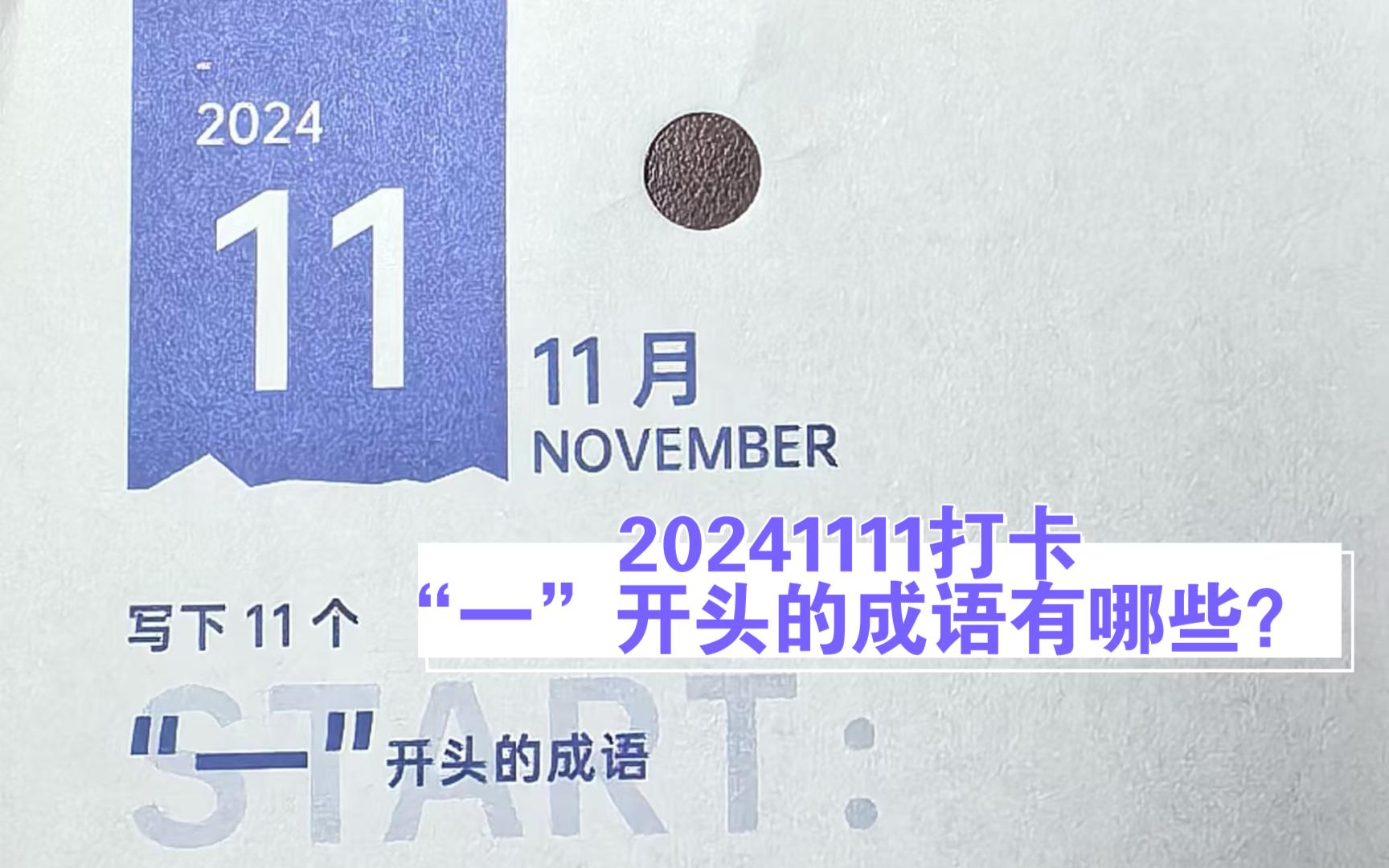 (2024年11月11日)“一”开头的成语有哪些?哔哩哔哩bilibili