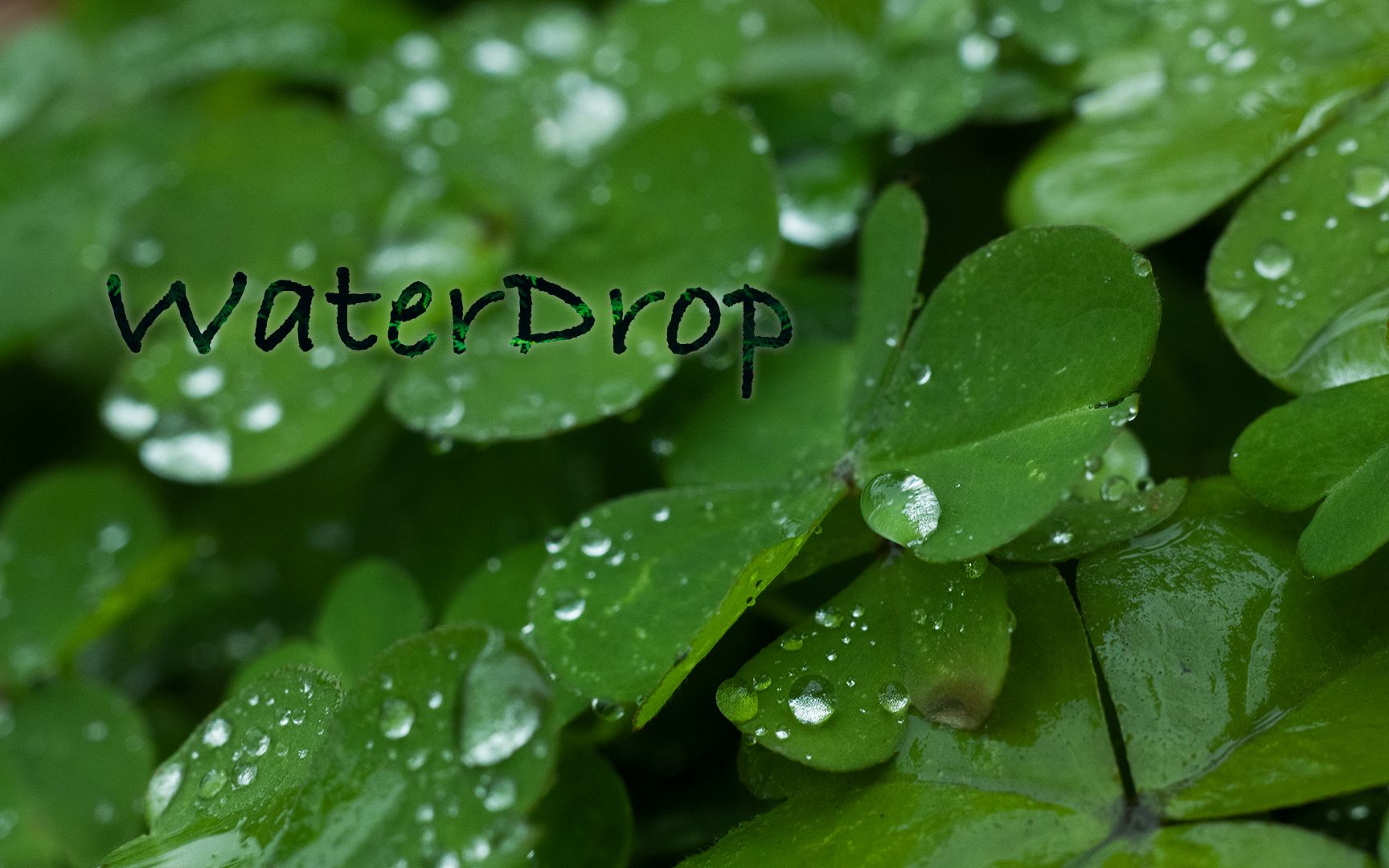 [图]A little film - WaterDrop