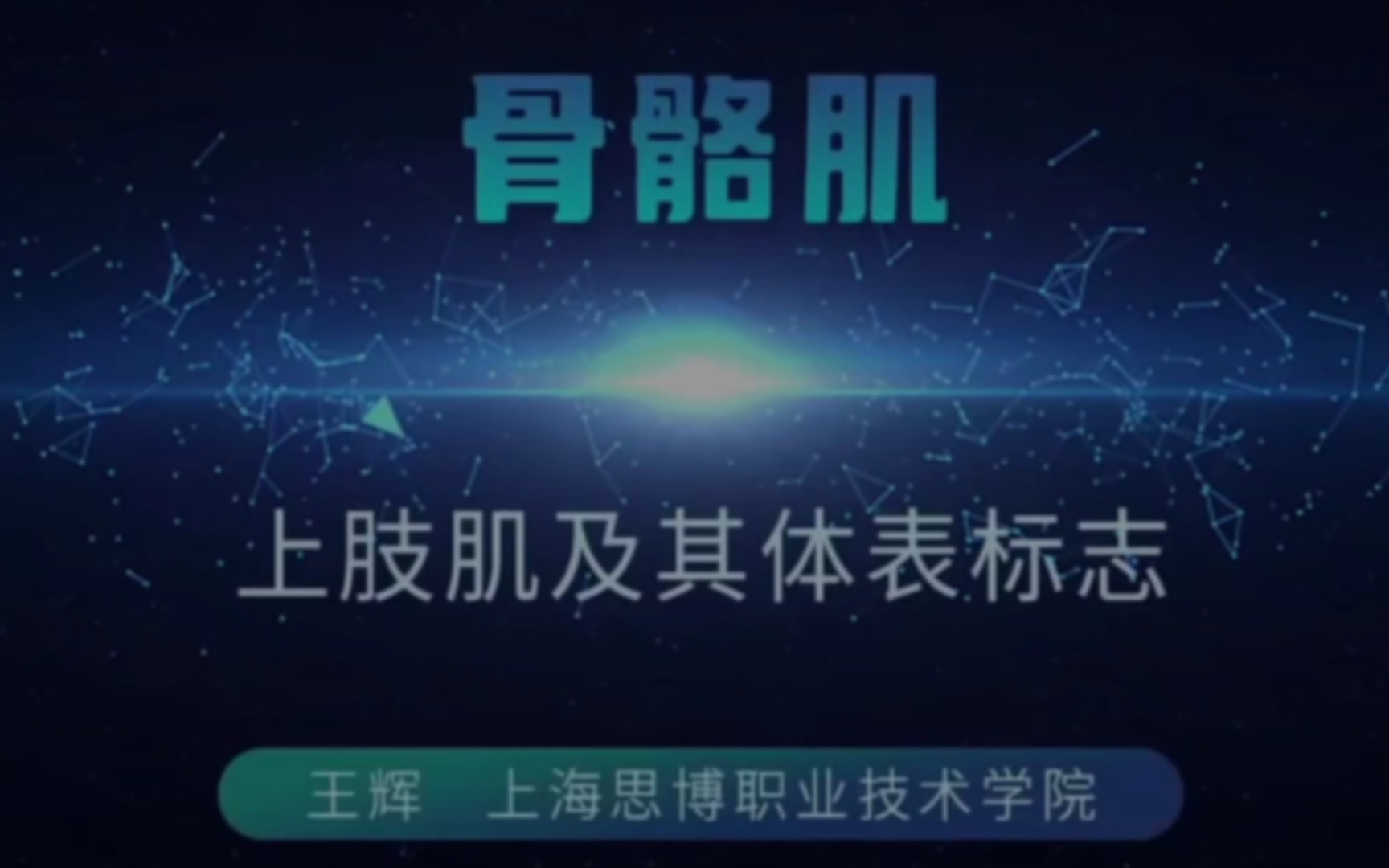 上肢肌及其體表標誌 骨骼肌 系統解剖學