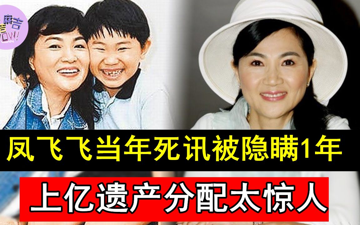 儿子真面目终于瞒不住,难怪当年死讯被隐瞒了1年#凤飞飞 #掌声响起