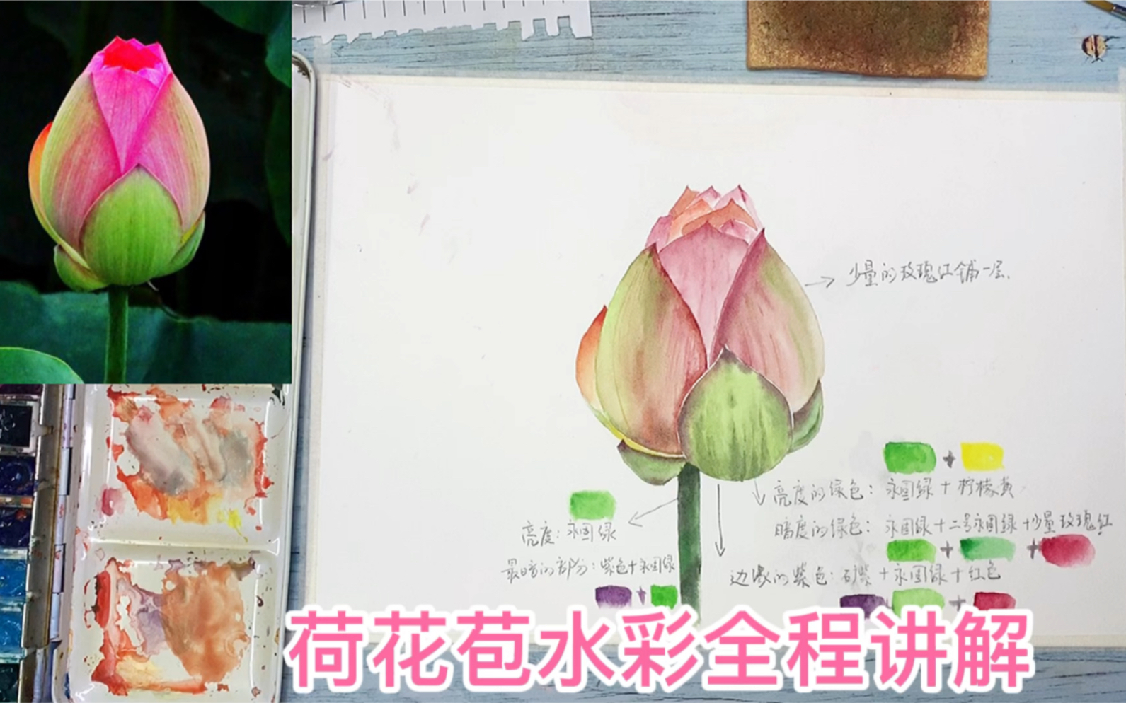 荷花花苞水彩过程讲解哔哩哔哩bilibili