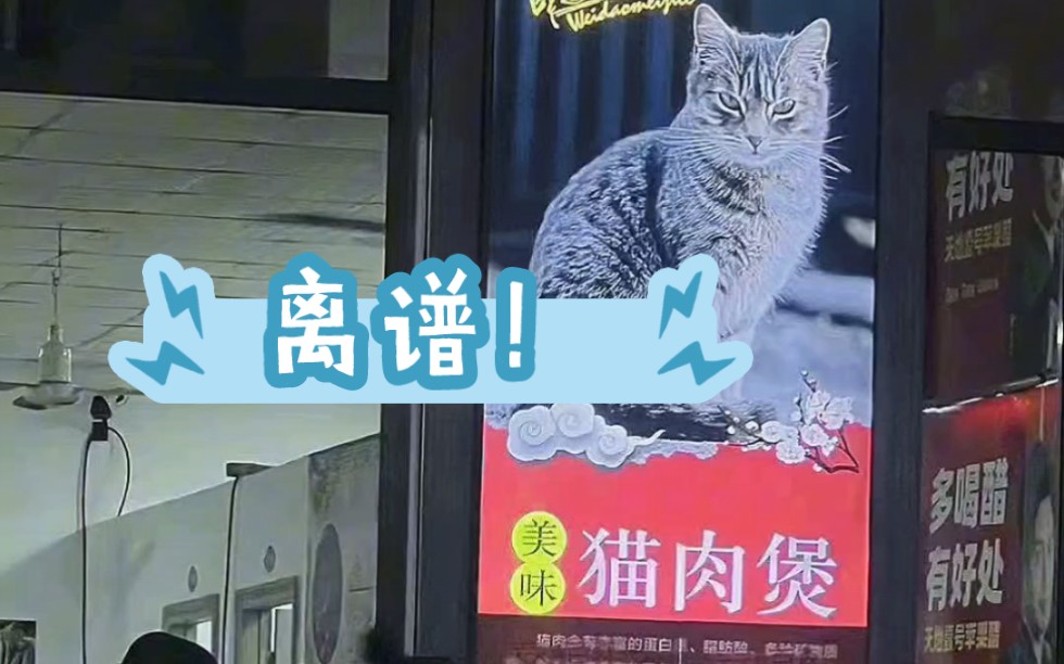 猫猫那么可爱,怎么会有猫肉火锅这种东西?