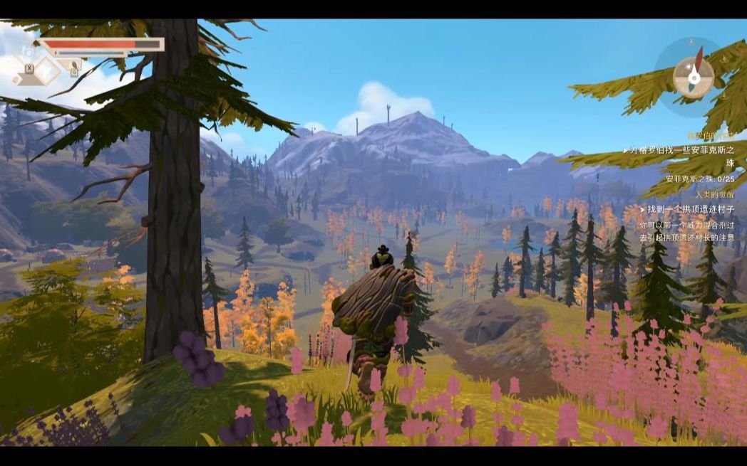 pine《松林世界》前期引导