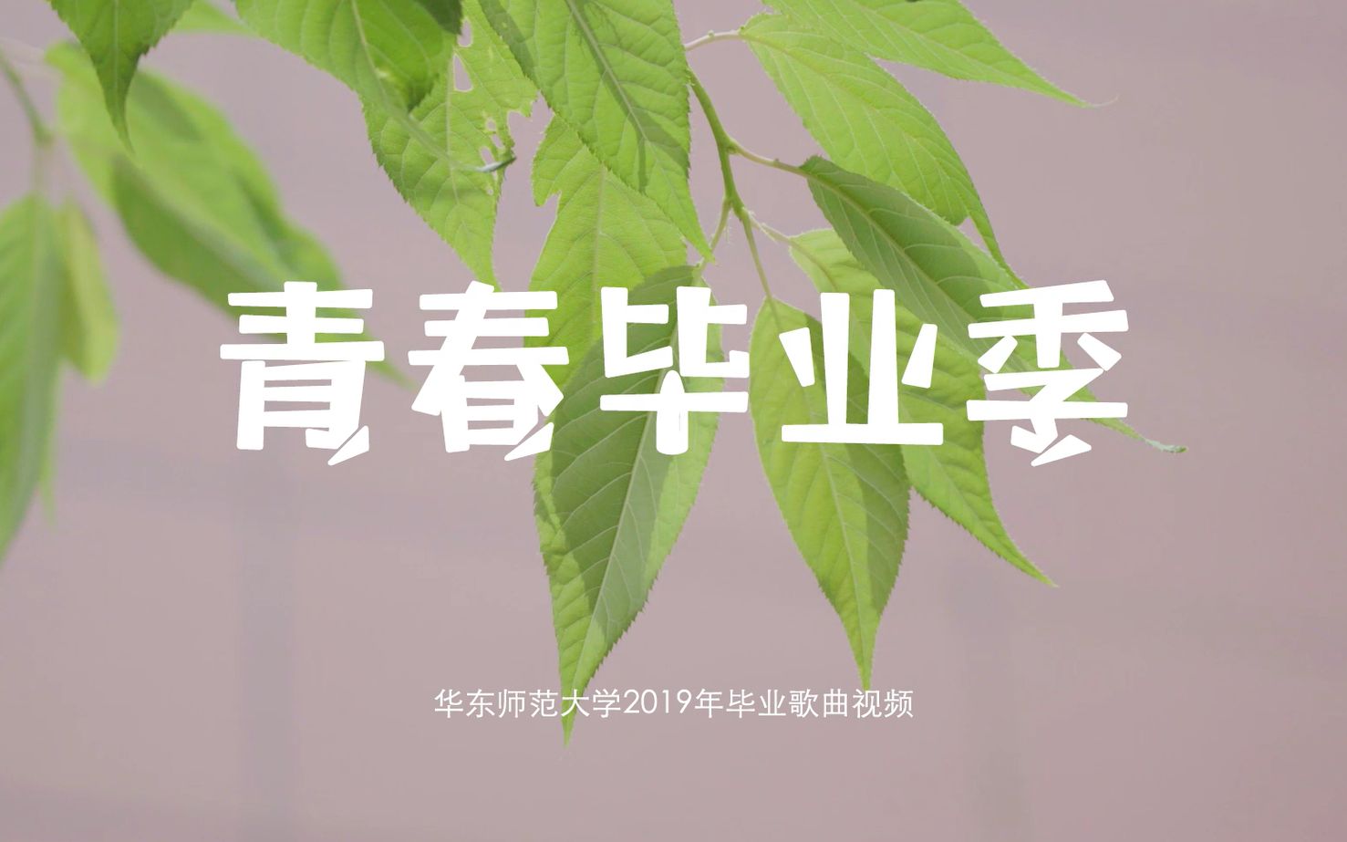 【华东师大2019毕业季】毕业晚会MV《青春毕业季》哔哩哔哩bilibili