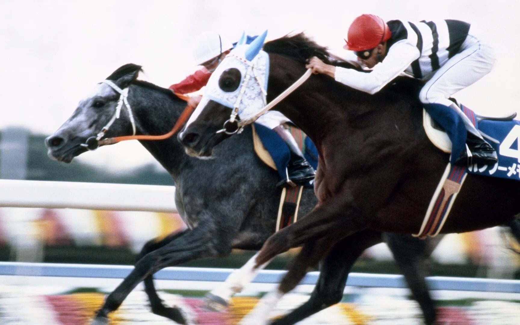 【有马记念倒计时1天】编织历史的名马们-小栗帽=オグリキャップ