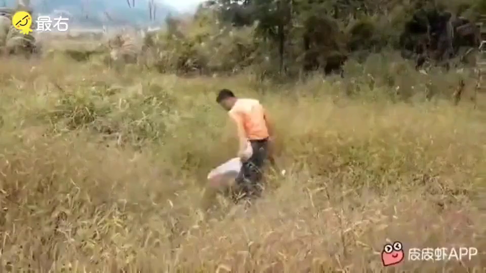 华农兄弟 那么深的沟