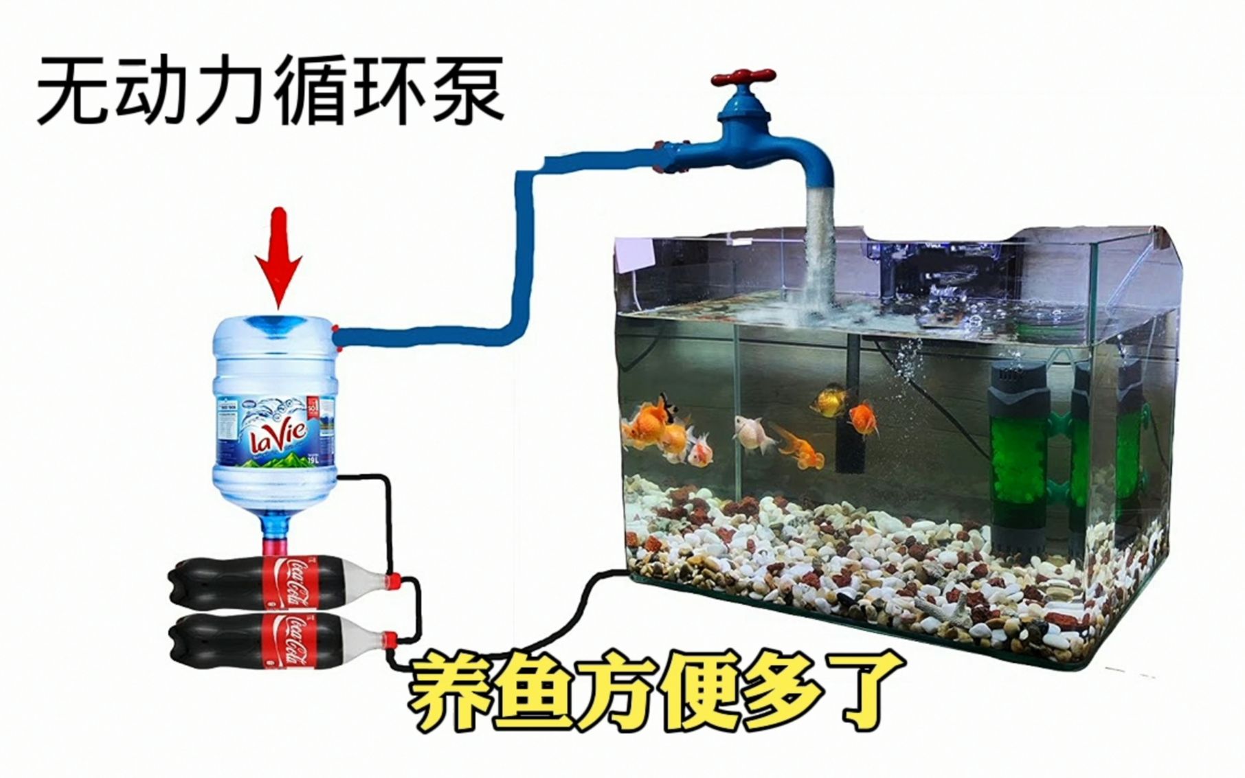 自制鱼缸无动力循环泵,用矿泉水瓶就能做成,一年又能省不少电费