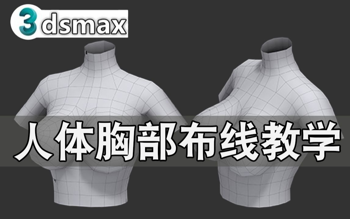 3dmax人物建模,零基礎女性人體胸部佈線技巧|3d人體結構細節講解教學