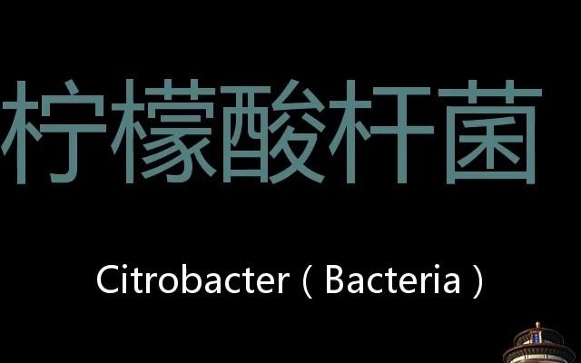 柠檬酸杆菌 Chinese Pronunciation Citrobacter ( Bacteria )哔哩哔哩bilibili