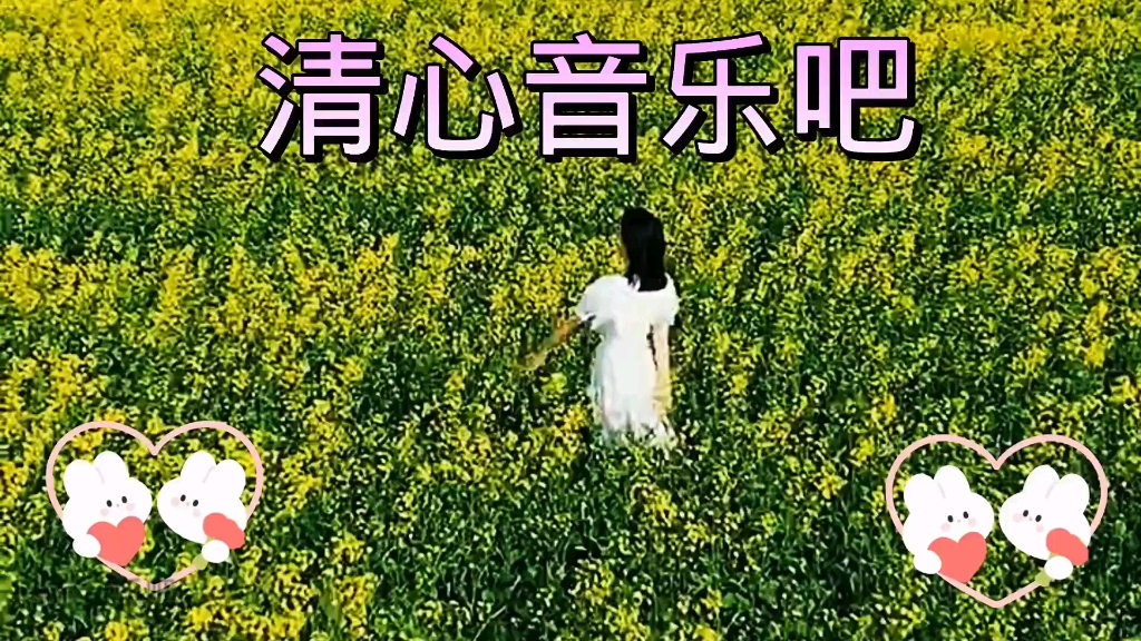 清心音乐吧:好听音乐千层雪