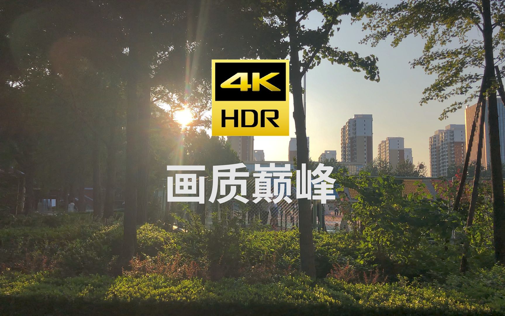 [图]【画质巅峰】4K 60FPS HDR10 你值得拥有