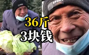 下载视频: 大爷卖36斤菜只要3块钱，满脸忐忑推销给过路司机：只要不烂在地里就好