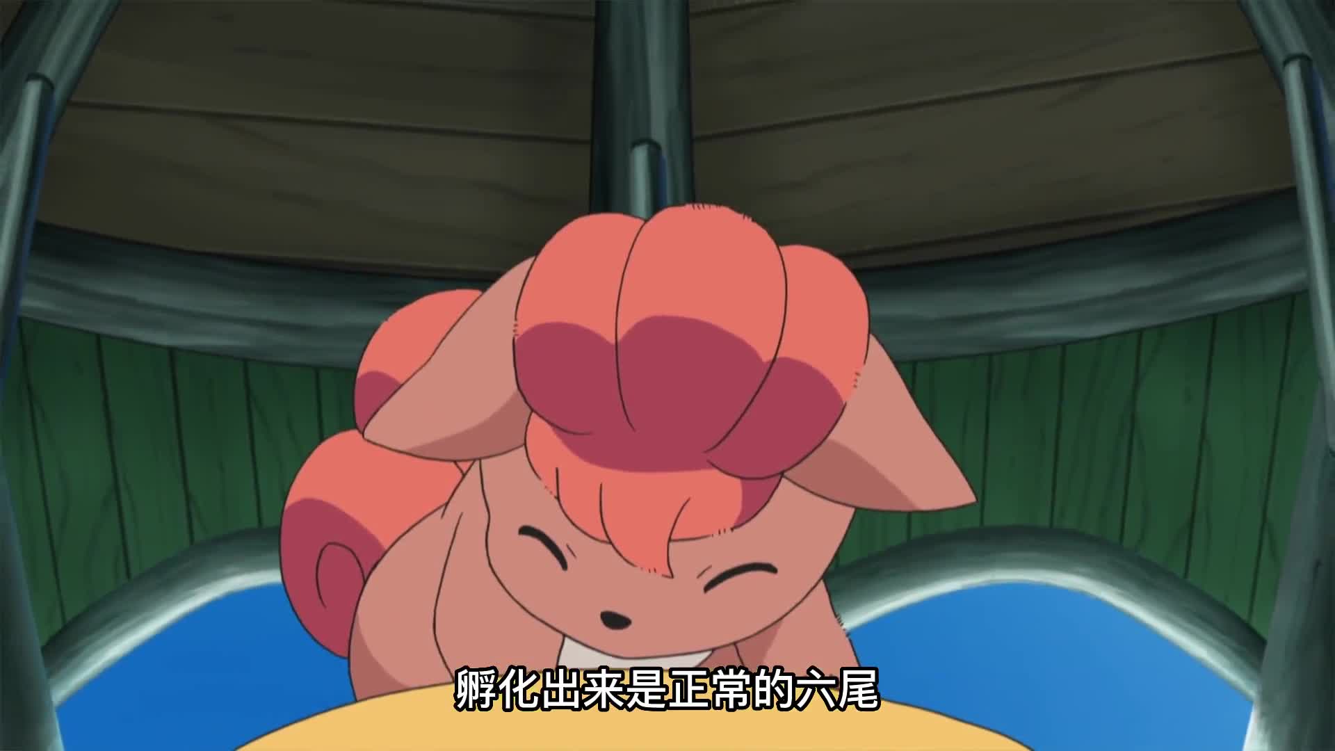 莉莉艾的蛋终于孵化了,克服自己的小毛病,这一集好暖心