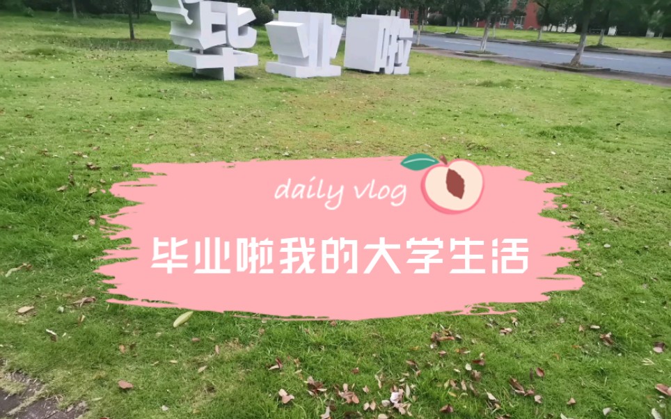 [图]我的大学记忆，倒叙我的大学生活与之的碰撞痕迹