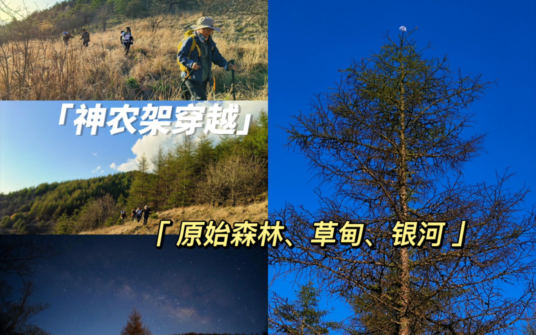 [图]五人重装徒步神农架，途经原始森林、高山草甸，终于在凌晨两点拍到了银河，却遗憾错过山顶大草原