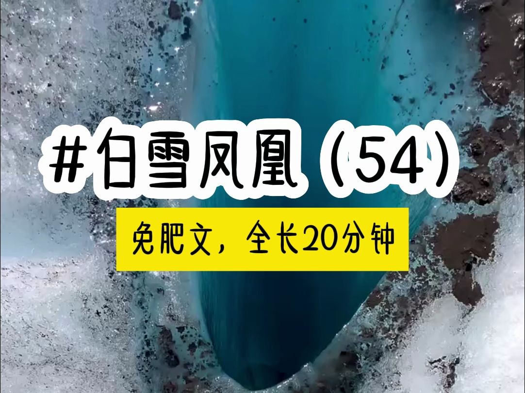 [图]茗《白雪凤凰》第54集