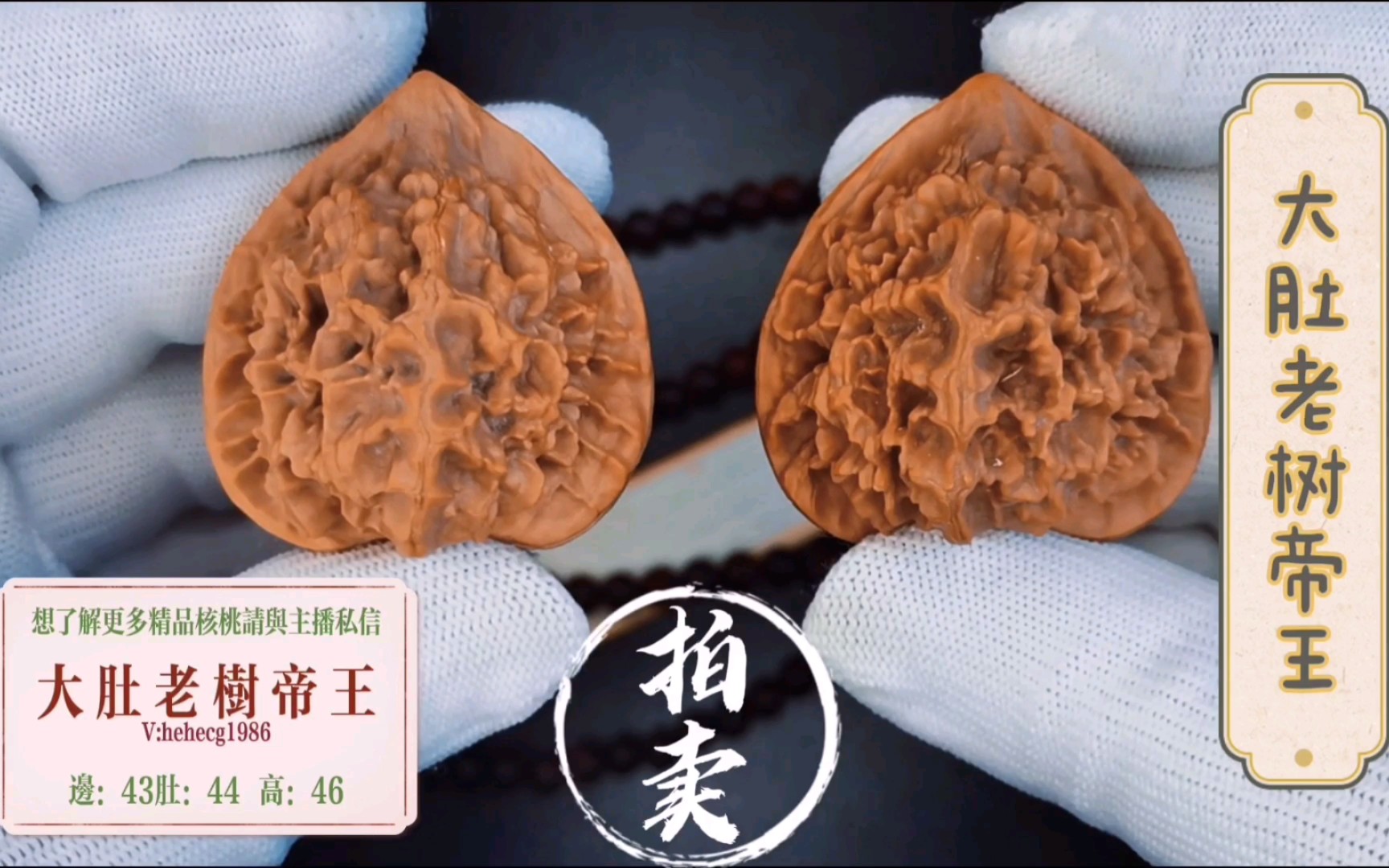 【文玩核桃 】【拍卖 】【荀皓】 嘎嘎硬的大肚帝王狮子头 喜欢的小