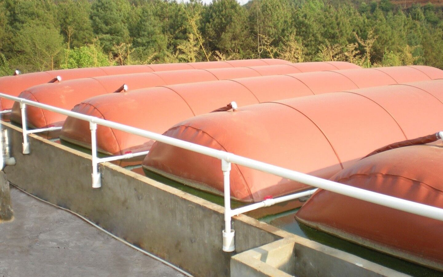 环保养殖就选择红泥软体沼气池!