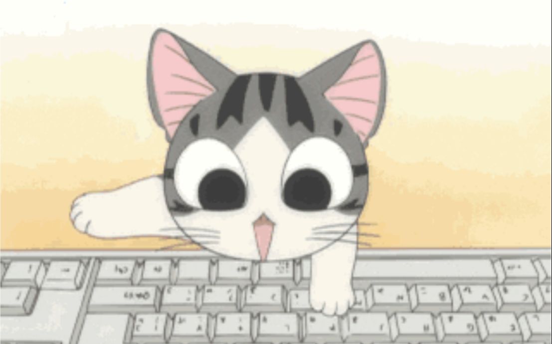 Typing Cat / 打字猫哔哩哔哩bilibili