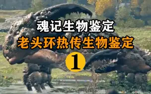 Télécharger la video: 艾尔登法环生物鉴定（1）