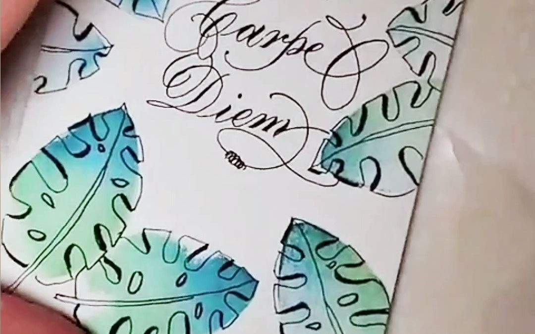 手绘 龟背竹_哔哩哔哩_bilibili