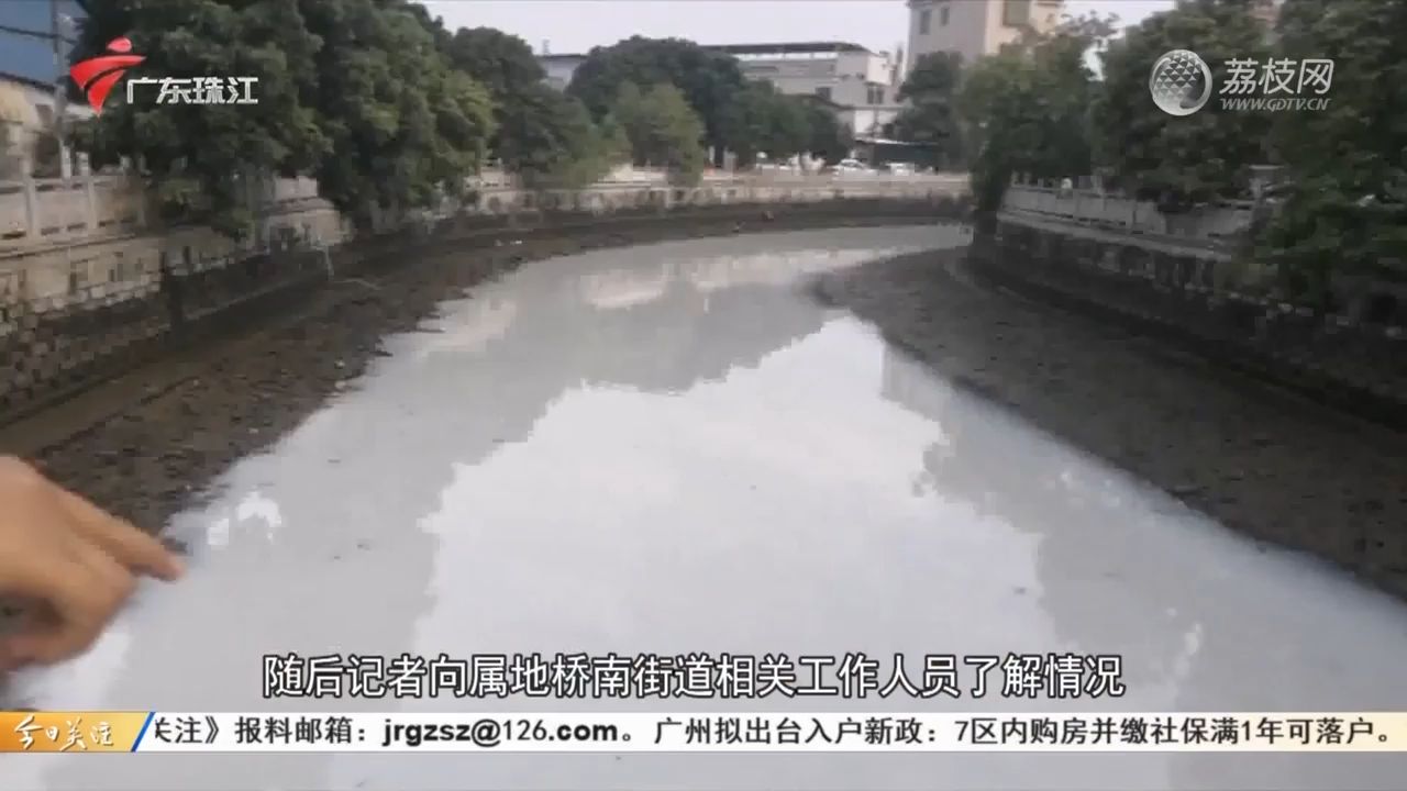 【粤语新闻】广州番禺:偷排致河涌变“牛奶河”大量死鱼 环保等部门介入调查哔哩哔哩bilibili