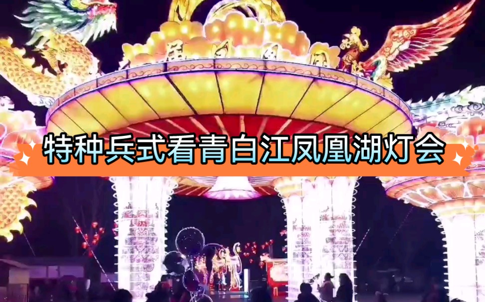 特种兵式看2024青白江凤凰湖灯会
