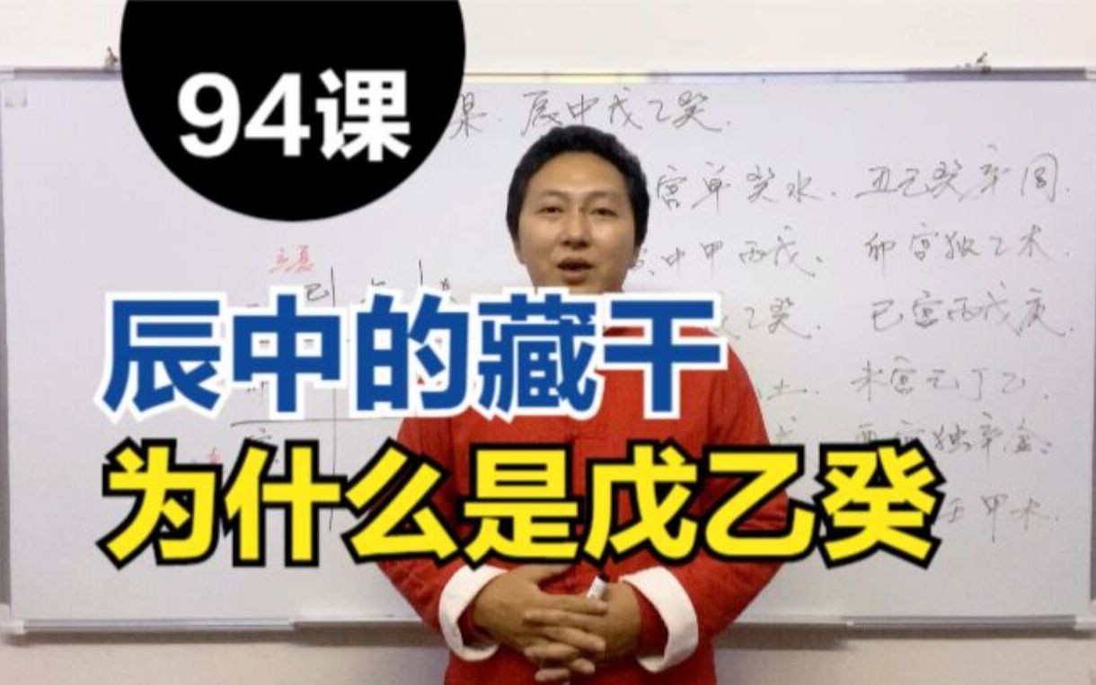 辰中的藏干为什么是戊乙癸,地支藏干依据是什么,地支藏干推算原理,张洋八字算命视频教程第94课哔哩哔哩bilibili