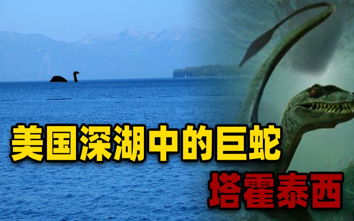 美国500米深湖中的巨蛇,体长可达4米多,150年来目击事件不断哔哩哔哩bilibili