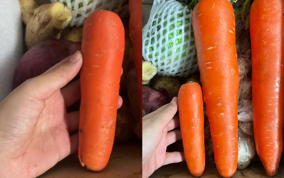 上海女子晒安徽捐赠的巨无霸蔬菜,超大胡萝卜女子惊呆段子成真