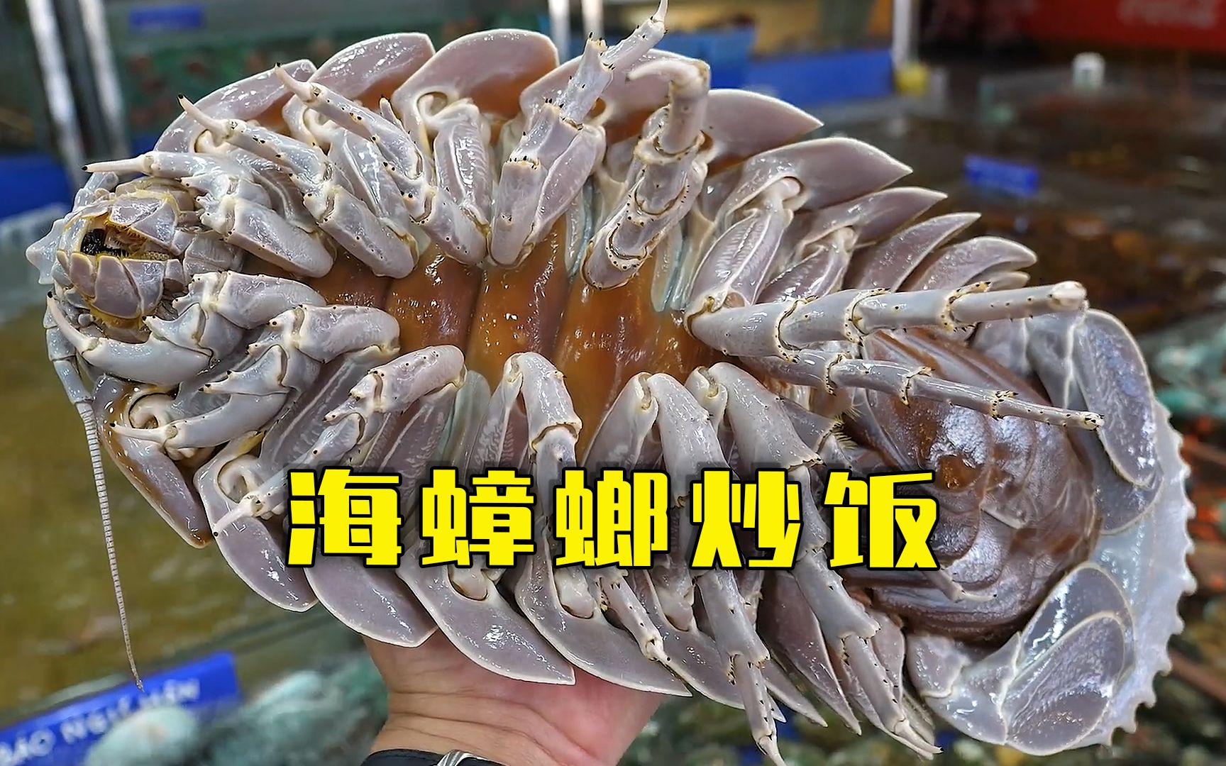 不是所有的炒饭都吃过,比如海蟑螂炒饭一定没吃过.