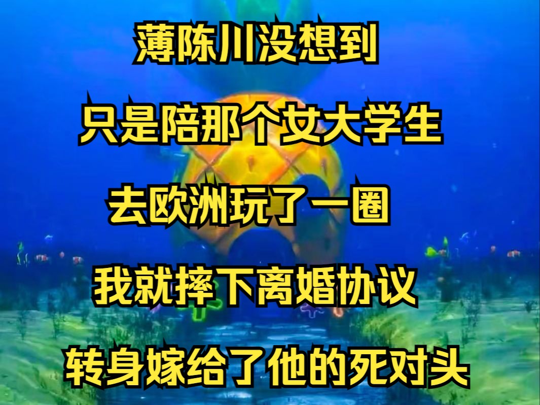 薄陈川没想到,只是陪那个女大学生去欧洲玩了一圈,我就摔下离婚协议,转身嫁给了他的死对头,他发了疯,可女孩再也不属于他了《攻略协议》哔哩哔...