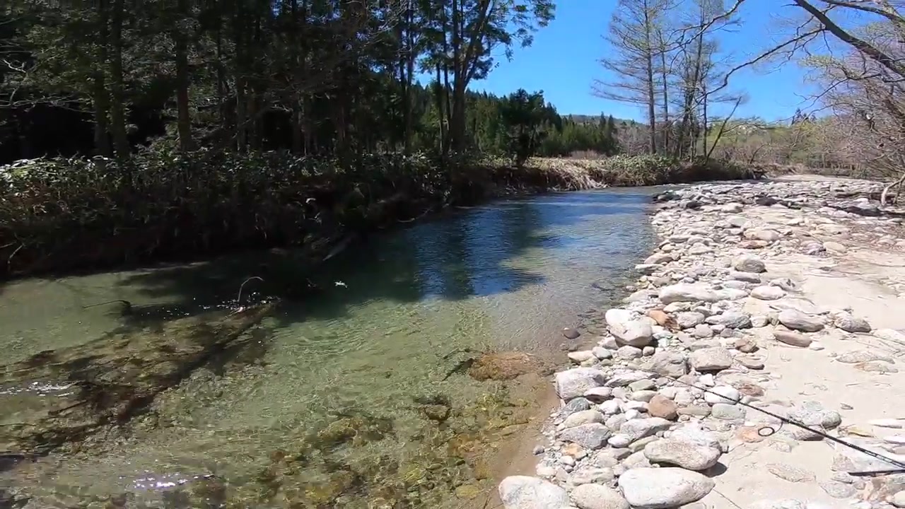 日本溪流鳟鱼钓行-2020年も,このミノー