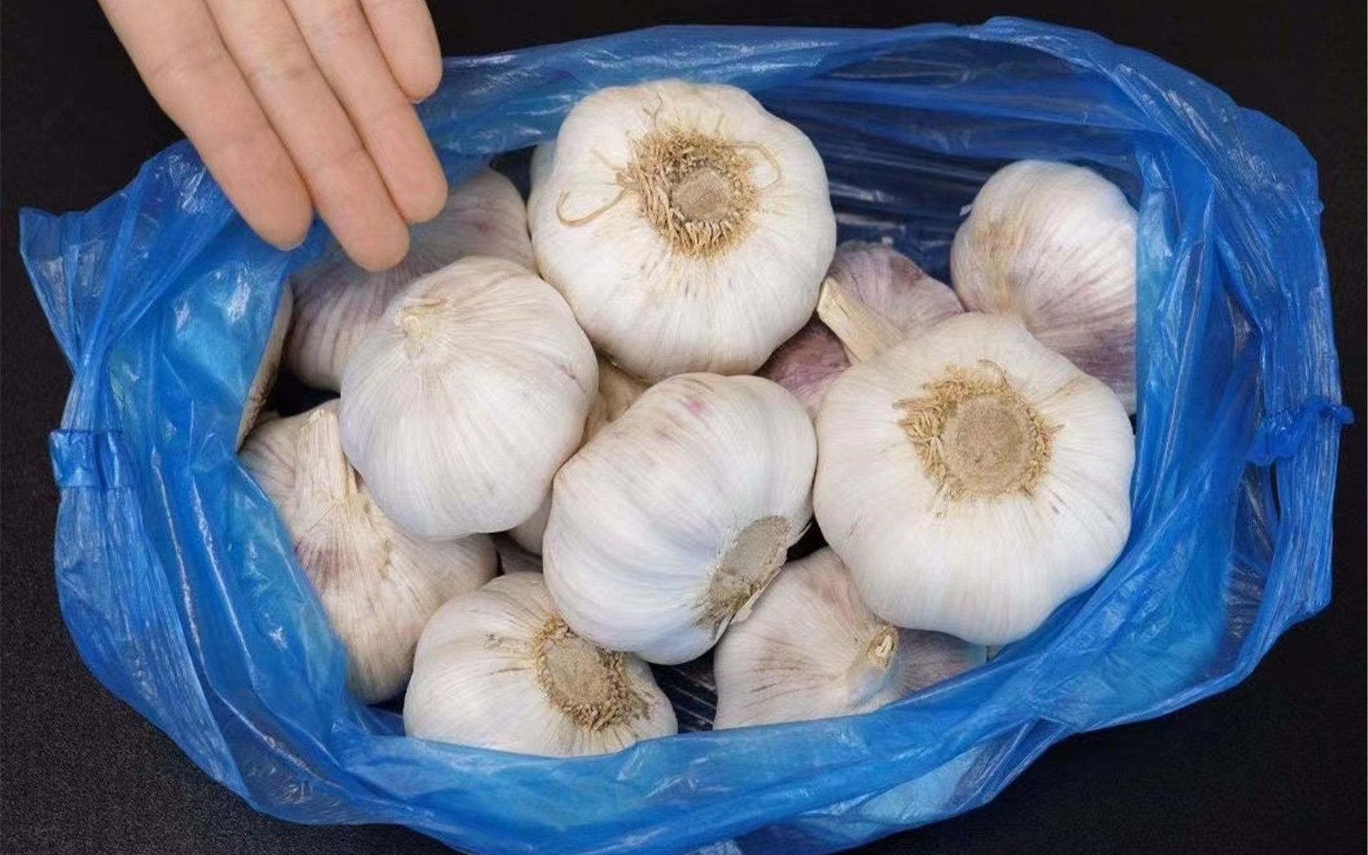 原来保存大蒜这么简单,教你正确方法,不发芽不干瘪,放整年不坏