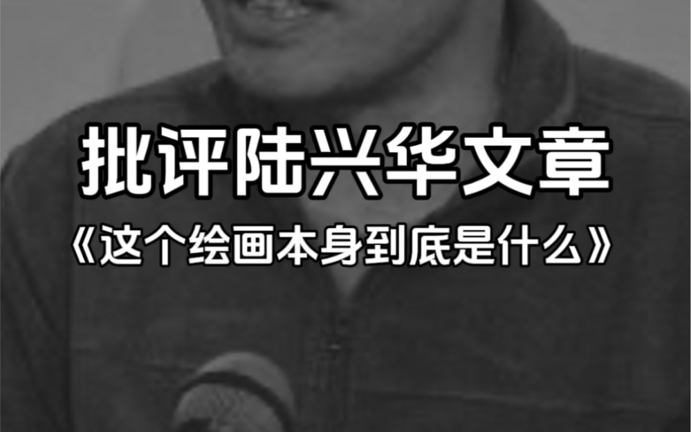 批评陆兴华文章《这个绘画本身到底是什么》哔哩哔哩bilibili