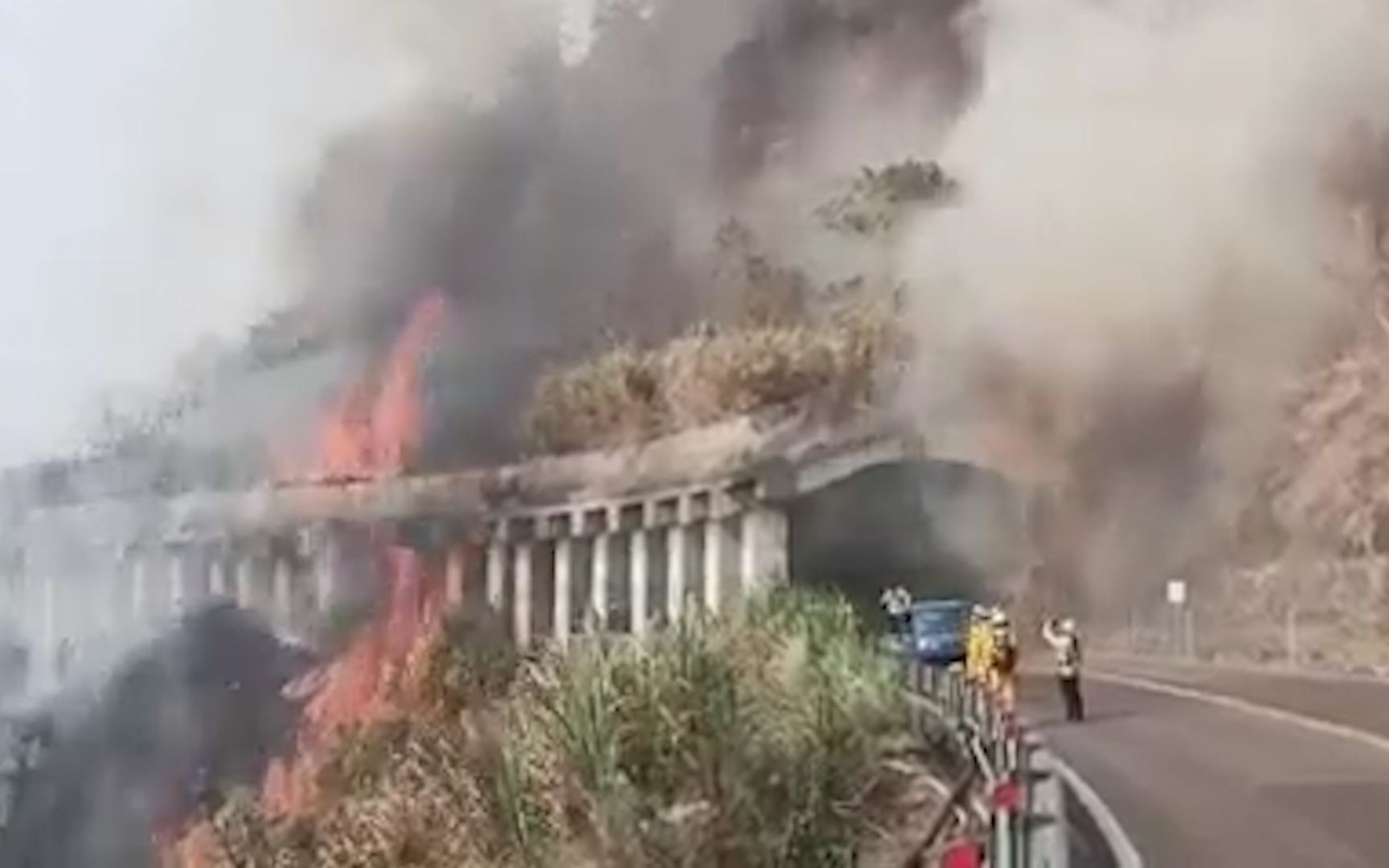 台湾阿里山森林大火已延烧超20小时 现场火光浓烟遮蔽山体哔哩哔哩bilibili