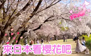 東京オートサロン2017 Fujitsubo 4k Tokyo Auto Salon 哔哩哔哩 つロ干杯 Bilibili